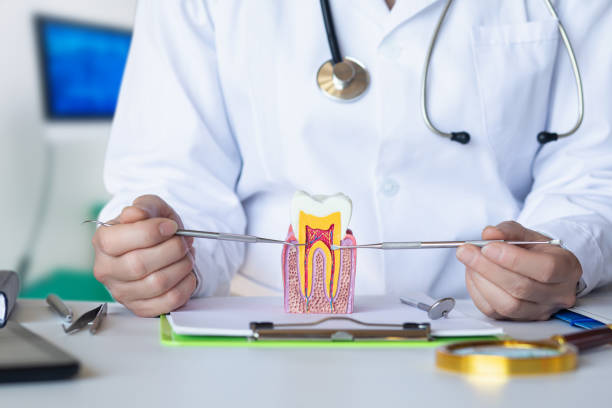 Best Emergency Tooth Extraction in Grove City, PA